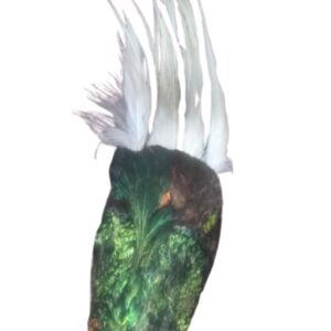 woolen gilgiti shall