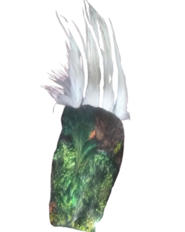 woolen gilgiti shall