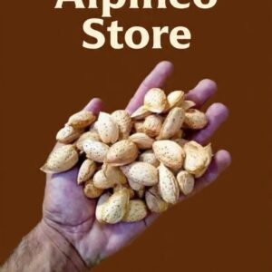 Alond Kaghazi: Threads of Light