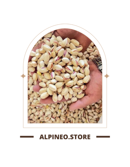 brown vintage travelling photos t shirt 98