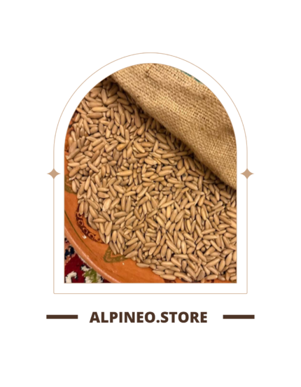 Roasted perfection, bold with every bite