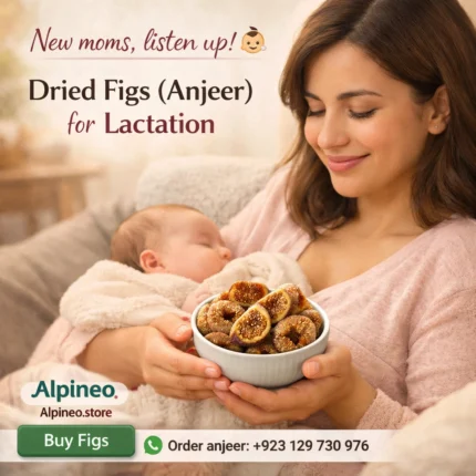 alpineo anjeer lactation
